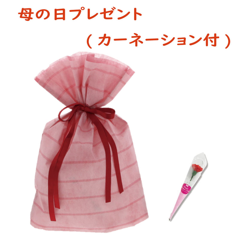 母の日プレゼント　カーネーション付き駄菓子袋詰め(袋カラー：赤)